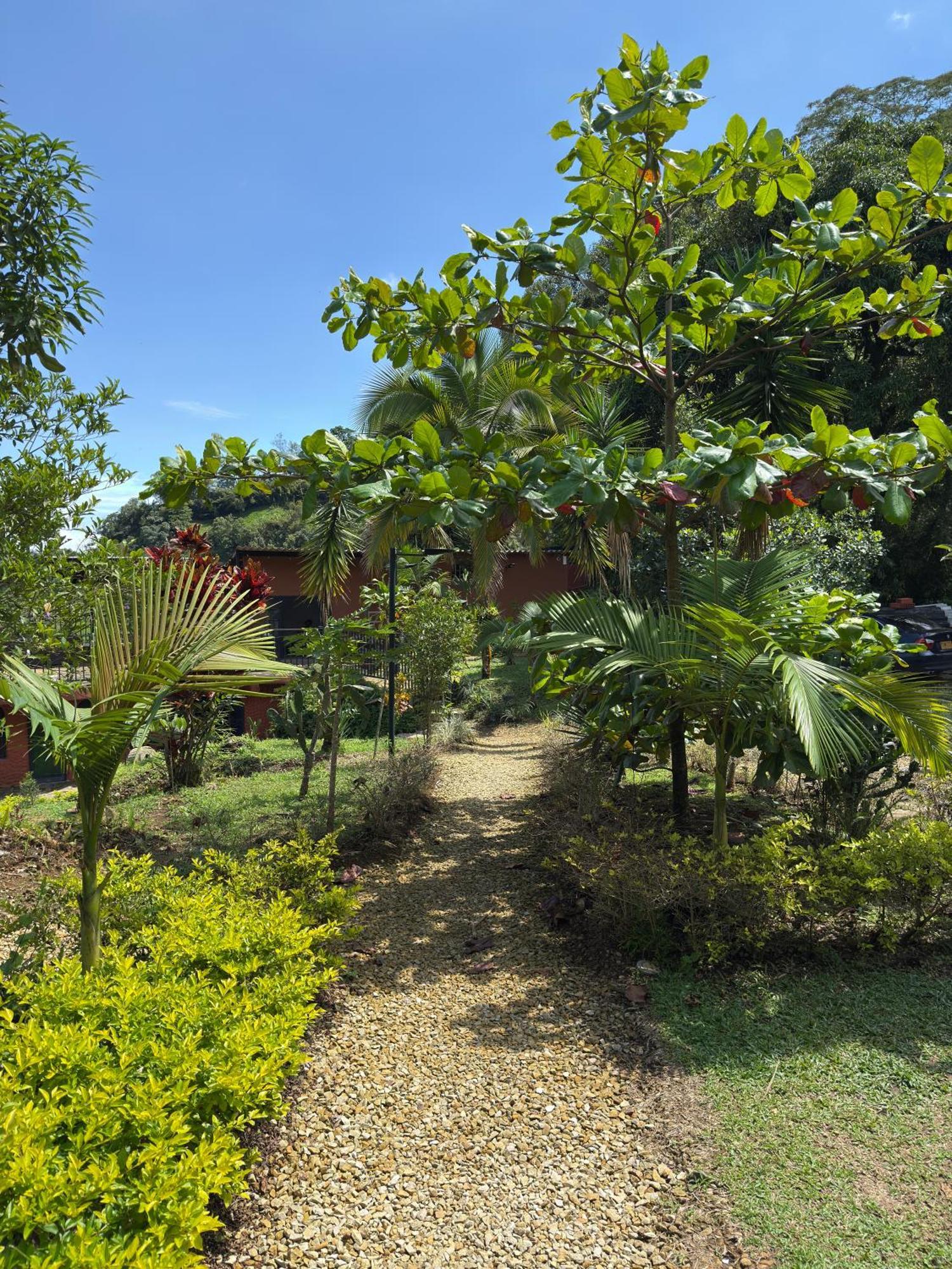 Jaragual Hostel "Eco Hostal" La Vega  Esterno foto
